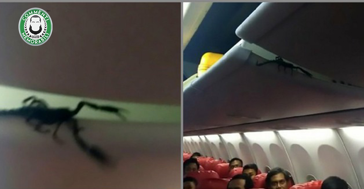 Indonesia: scorpione gigante terrorizza passeggeri in aereo camminando sulle loro teste