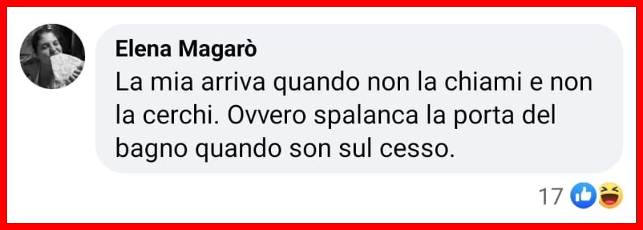 Scienziati confermano: "I gatti riconoscono il loro nome, ma ci ignorano"