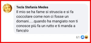 Scienziati confermano: "I gatti riconoscono il loro nome, ma ci ignorano"