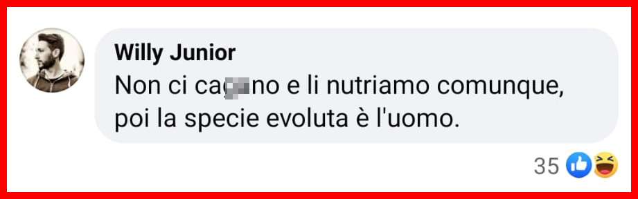 Scienziati confermano: "I gatti riconoscono il loro nome, ma ci ignorano"