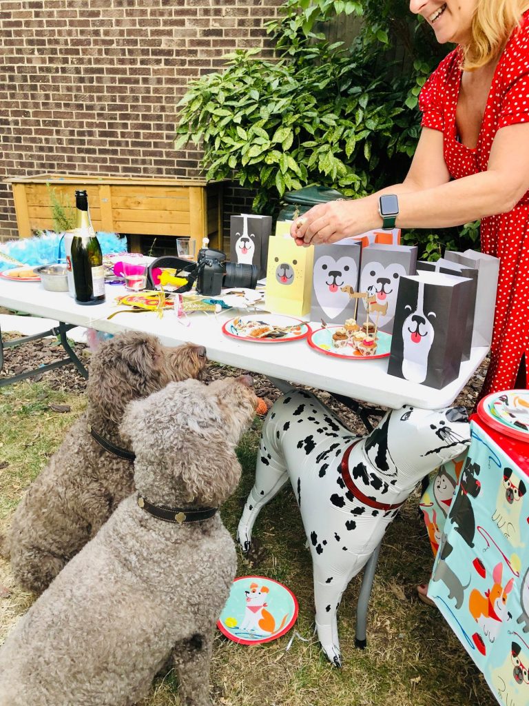 Feste di compleanno per cani