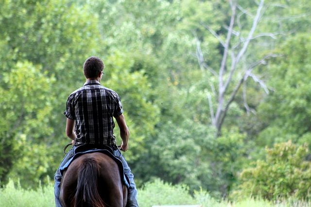 cavallo