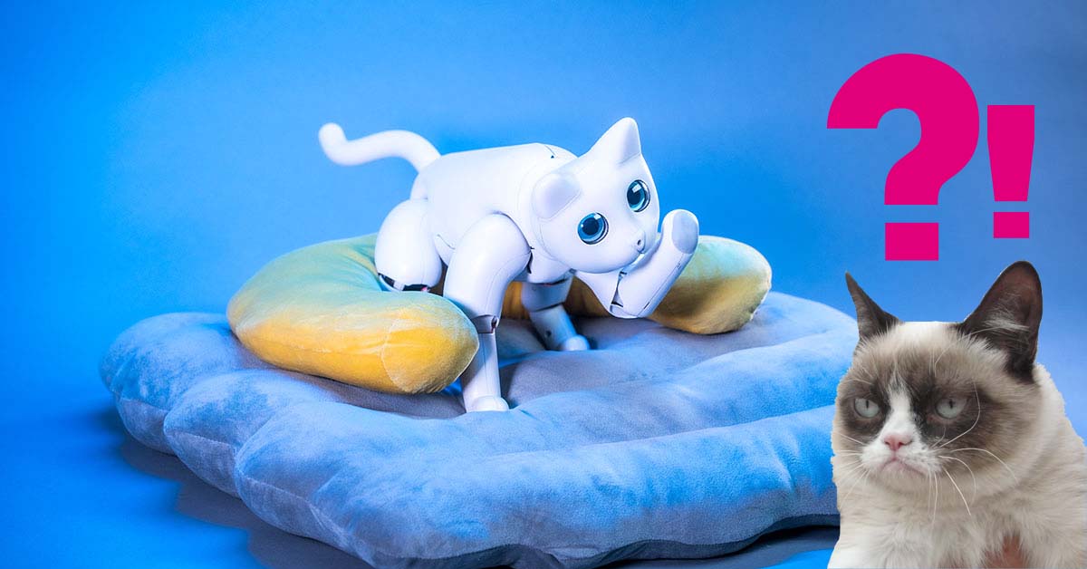 MarsCat non perde peli ma fa le fusa: su Kickstarter il primo gatto robotico