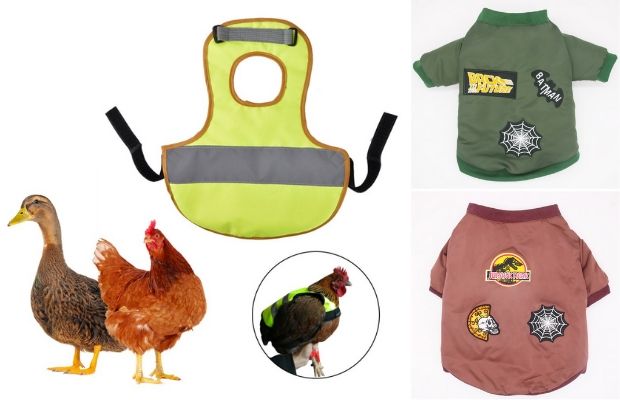 Casco per galline e altri accessori imperdibili per gli amanti delle due  ruote