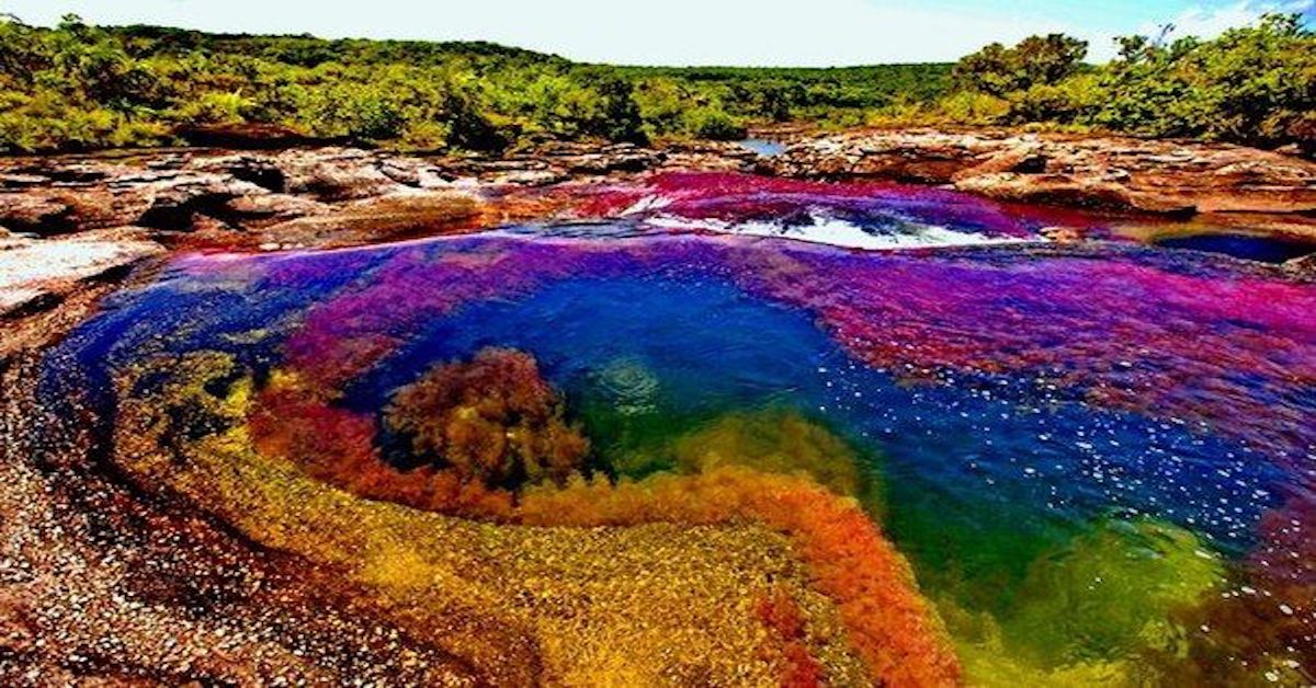 Il fiume colombiano che ha 5 colori diversi: lo spettacolo è davvero unico