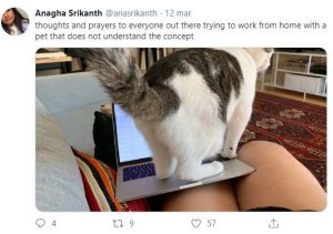 Smart working in quarantena le foto delle interferenze degli amici a 4 zampe