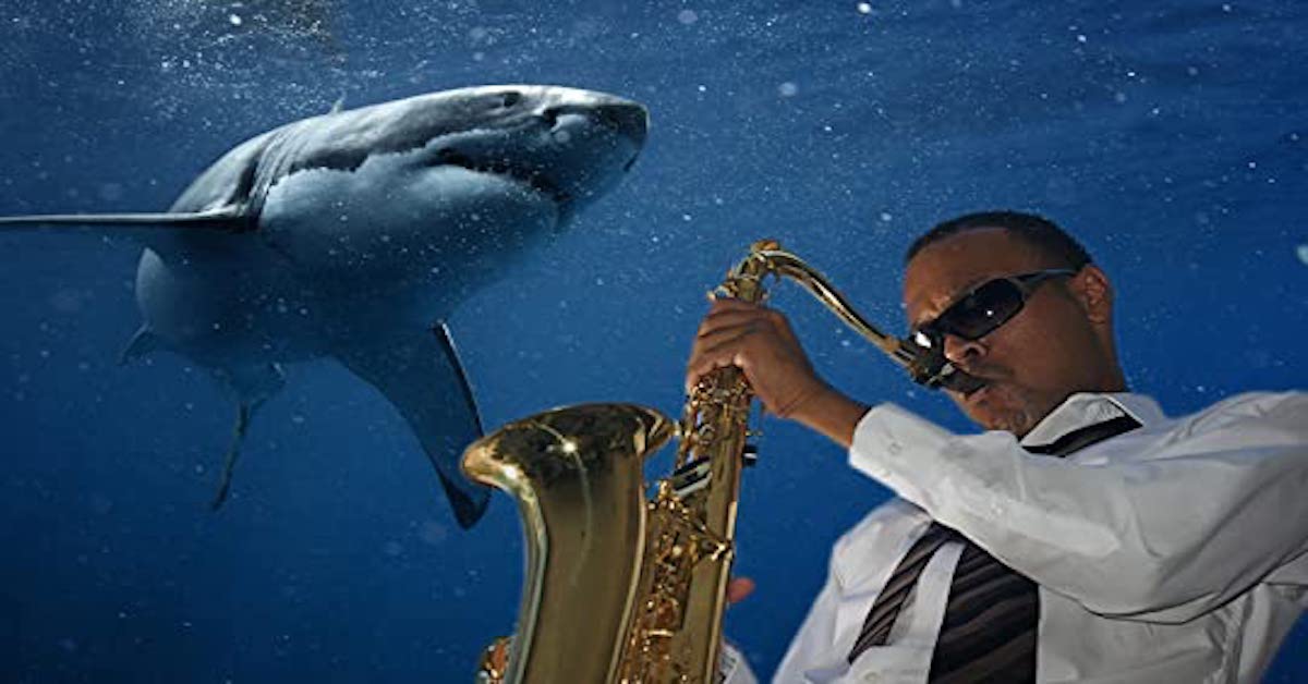 Gli squali preferiscono il jazz alla musica classica, lo rivela uno studio