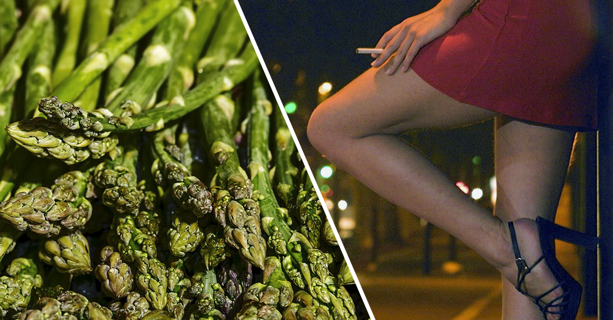 Prostituta fermata dalla polizia si giustifica: “sono qui per raccogliere asparagi”