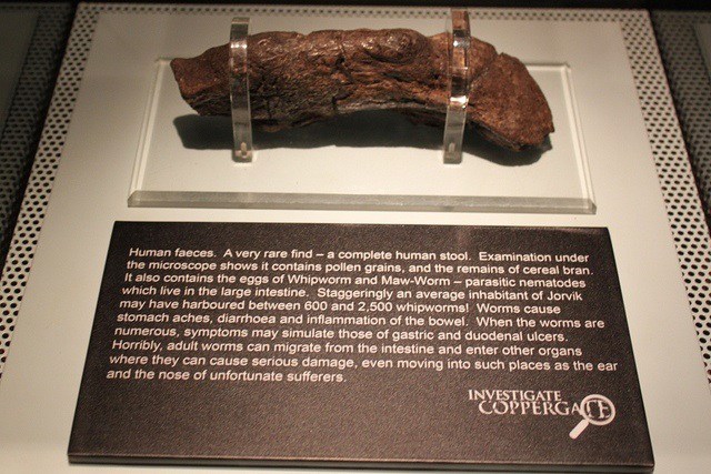 Lloyd Bank Coprolite