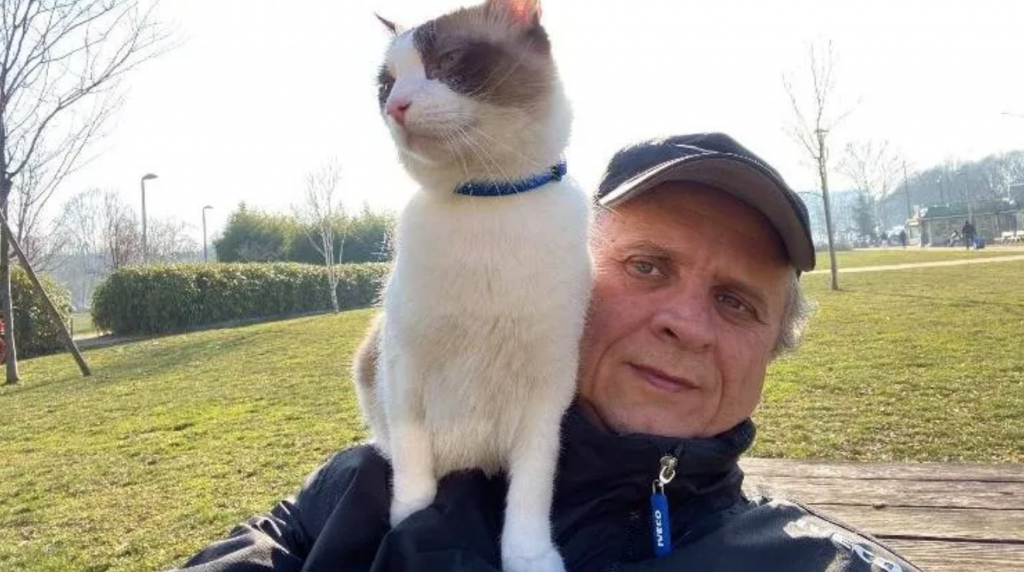 In giro per Torino gatto in spalla