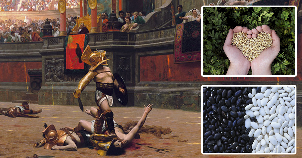 Gladiatori dell’Antica Roma: atleti aitanti o vegetariani mollicci?