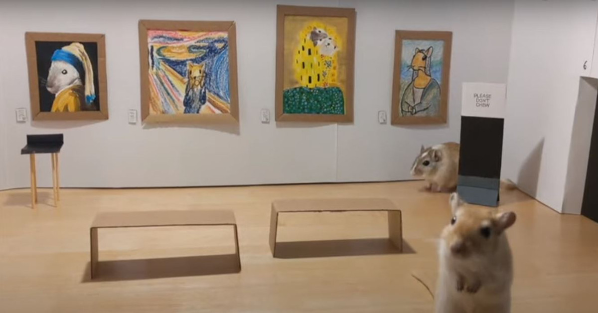 Coppia in quarantena realizza un piccolo museo d’arte per i loro gerbilli