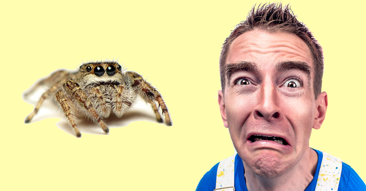 Studio rileva che gli uomini hanno più paura degli insetti rispetto alle donne