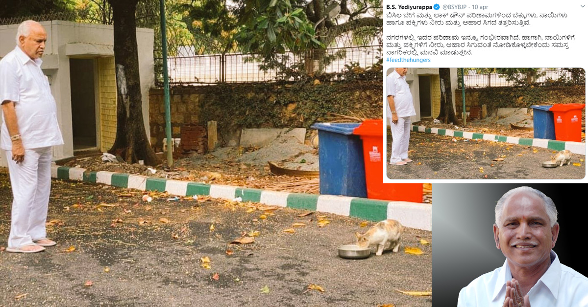 Il Primo Ministro indiano si fa fotografare mentre sfama un gatto randagio, e invita tutti a fare altrettanto