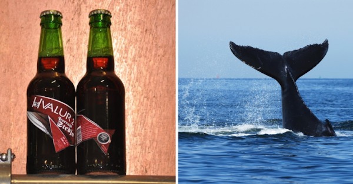 La stranissima e innovativa birra che viene prodotta con testicoli di balena