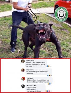Cane Demogorgone: il web si scatena