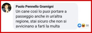 Cane Demogorgone: il web si scatena