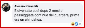 Cane Demogorgone: il web si scatena
