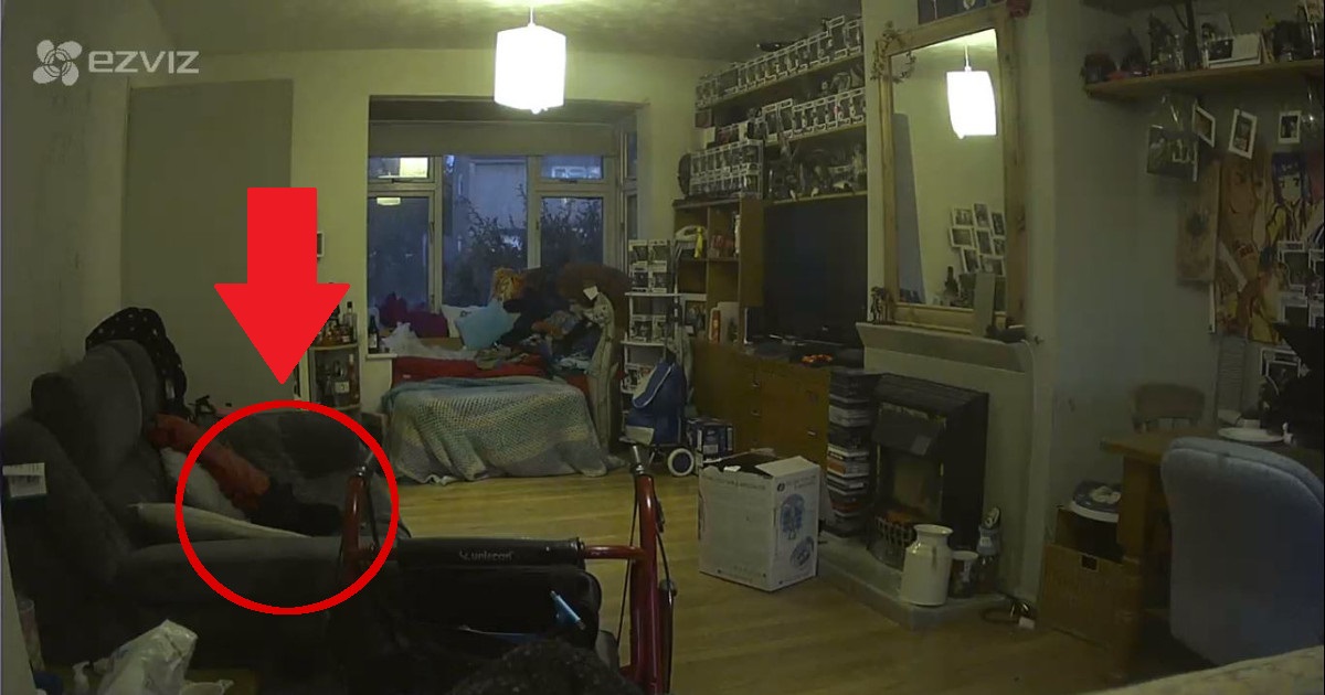 Crede di aver filmato il fantasma del suo gatto: il video fa il giro del web