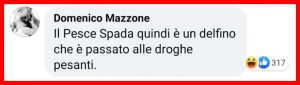 Delfini "drogati" si sballano con i pesci palla: la scoperta della BBC