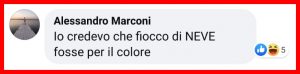 Delfini "drogati" si sballano con i pesci palla: la scoperta della BBC