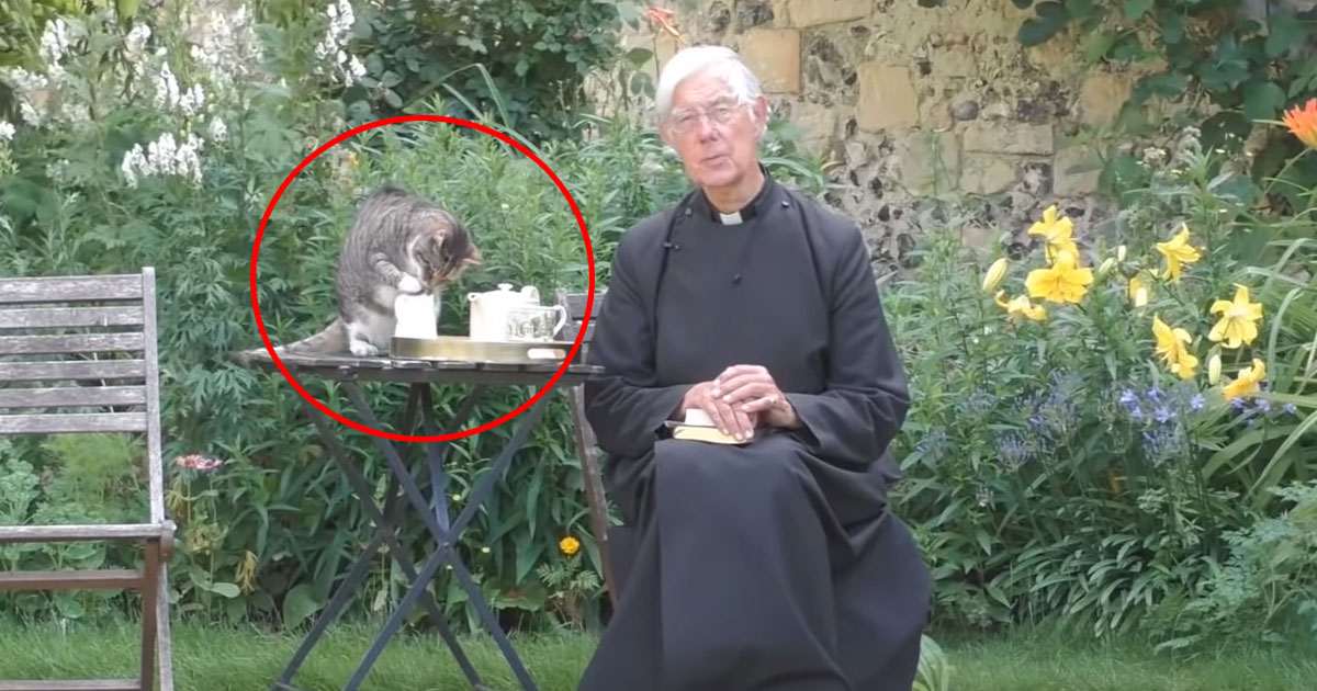 Il gatto di Canterbury colpisce ancora: stavolta ruba il latte durante la diretta del sermone [+ VIDEO]