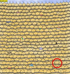 Aguzza la vista: riesci a trovare l'ape regina in questa immagine?