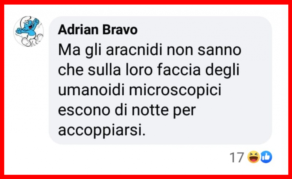 Gli acari del viso che vivono indisturbati sulla nostra faccia