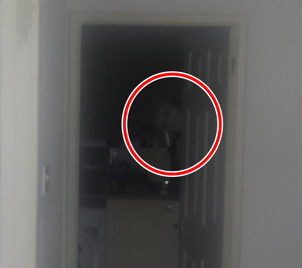 Scappa di casa dopo aver visto il volto di un fantasma che sbircia dalla porta