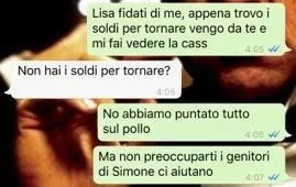 combattimenti tra polli