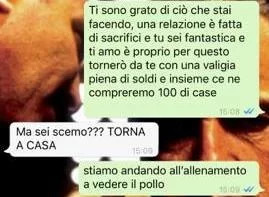 combattimenti tra polli