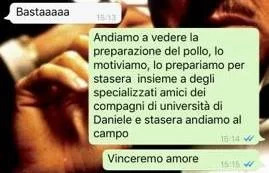 combattimenti tra polli