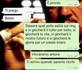 combattimenti tra polli