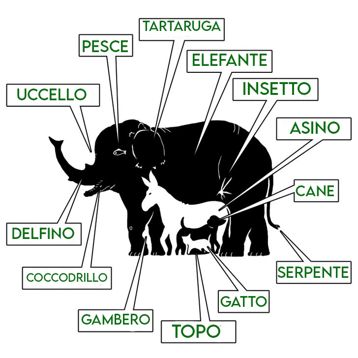 Test di intelligenza: quanti animali vedi in questa immagine?