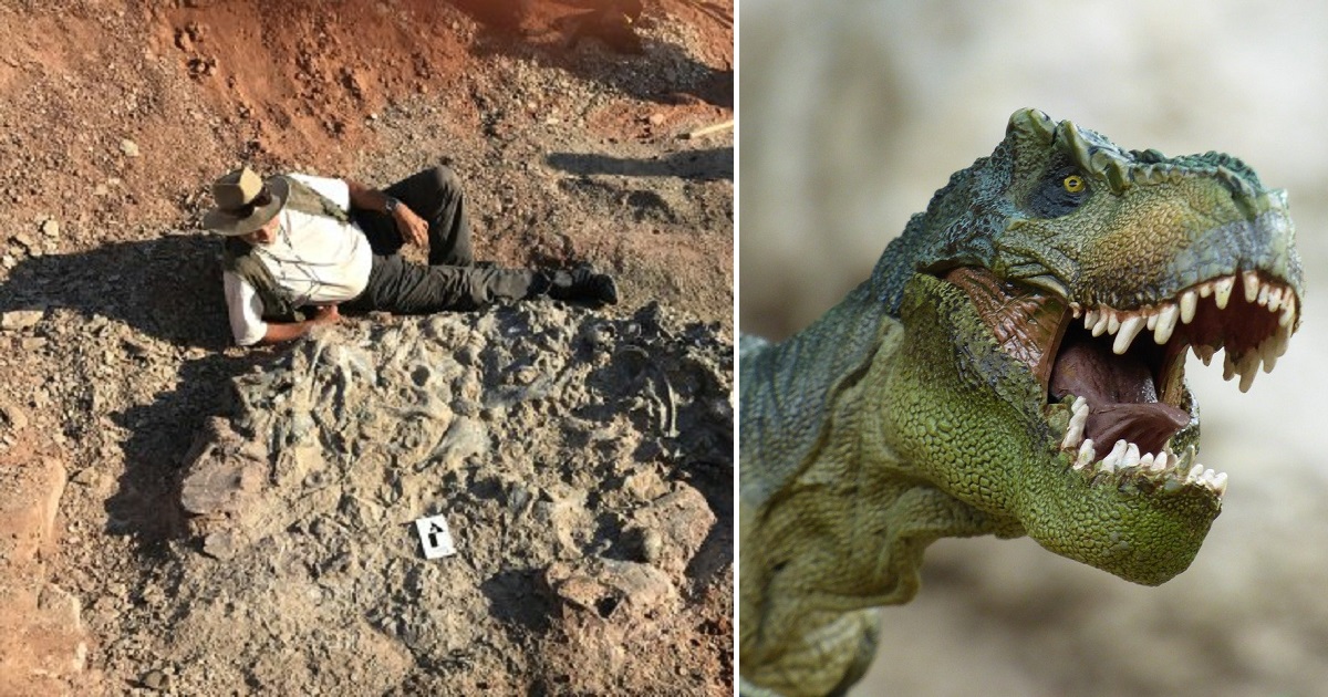 Argentina, scoperto il cimitero dei dinosauri: ha oltre 220 milioni di anni