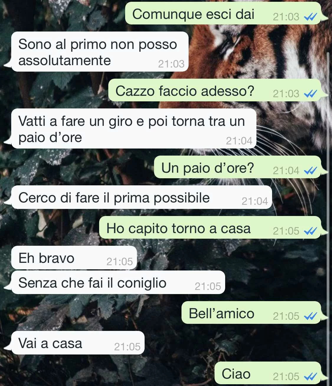 Situazioni imbarazzanti 