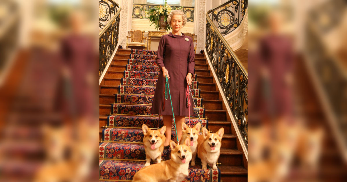 Bambino scrive alla regina Elisabetta: “Mi regala un cane?”, lei risponde: “No”
