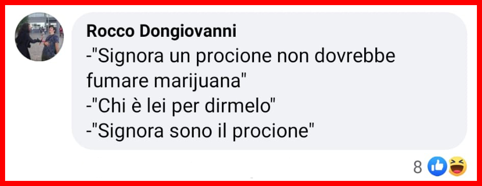 Donna chiede aiuto ai pompieri: "Il mio procione è strafatto di marijuana" [+COMMENTI]