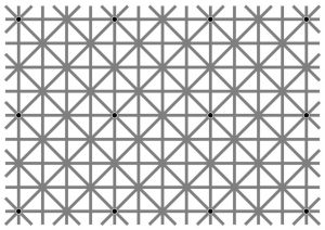 Quanti punti neri ci sono in questa foto? L'illusione ottica già virale sul web