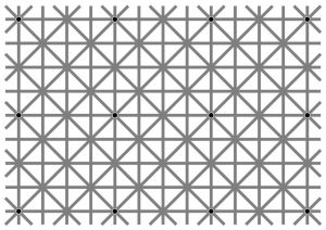 Quanti punti neri ci sono in questa foto? L'illusione ottica già virale sul web