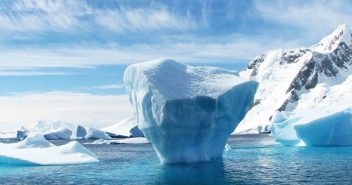 Scoperto un “mondo nascosto” di strane creature sotto l’Antartide
