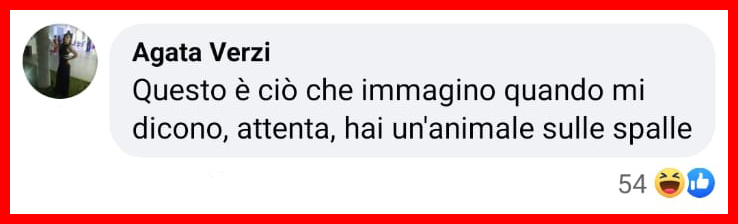 Faccia a faccia con Godzilla dopo un rientro a casa