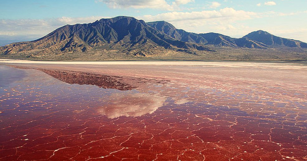 Sette curiosità assurde che non sai sul pianeta Terra