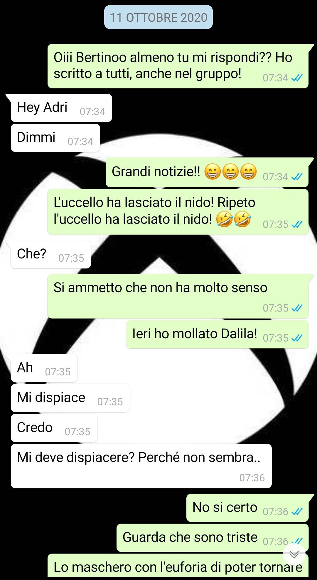 tutto amici