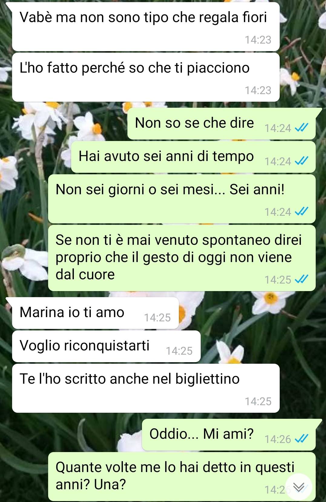 Quel falso del mio ex