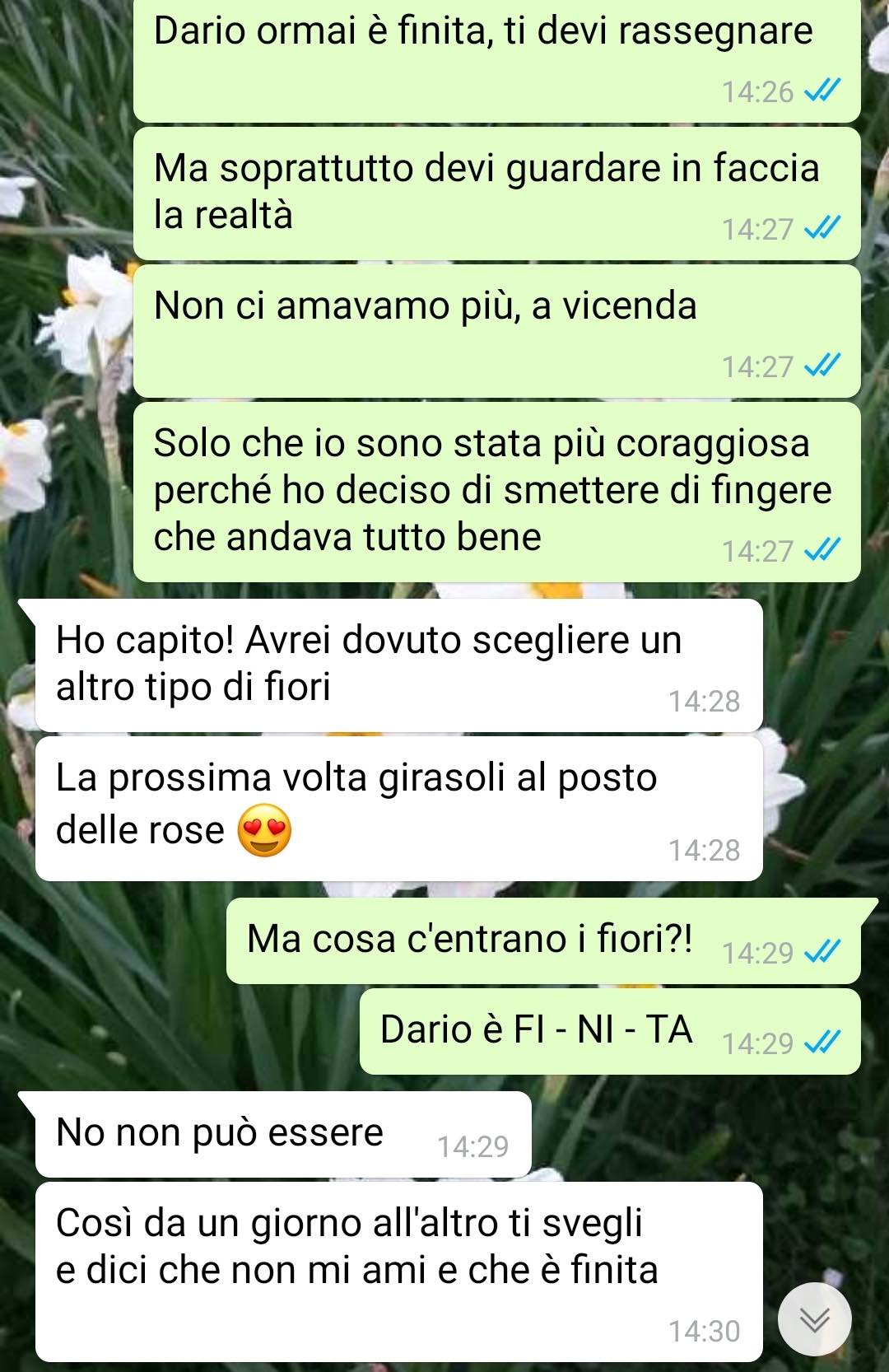 Quel falso del mio ex