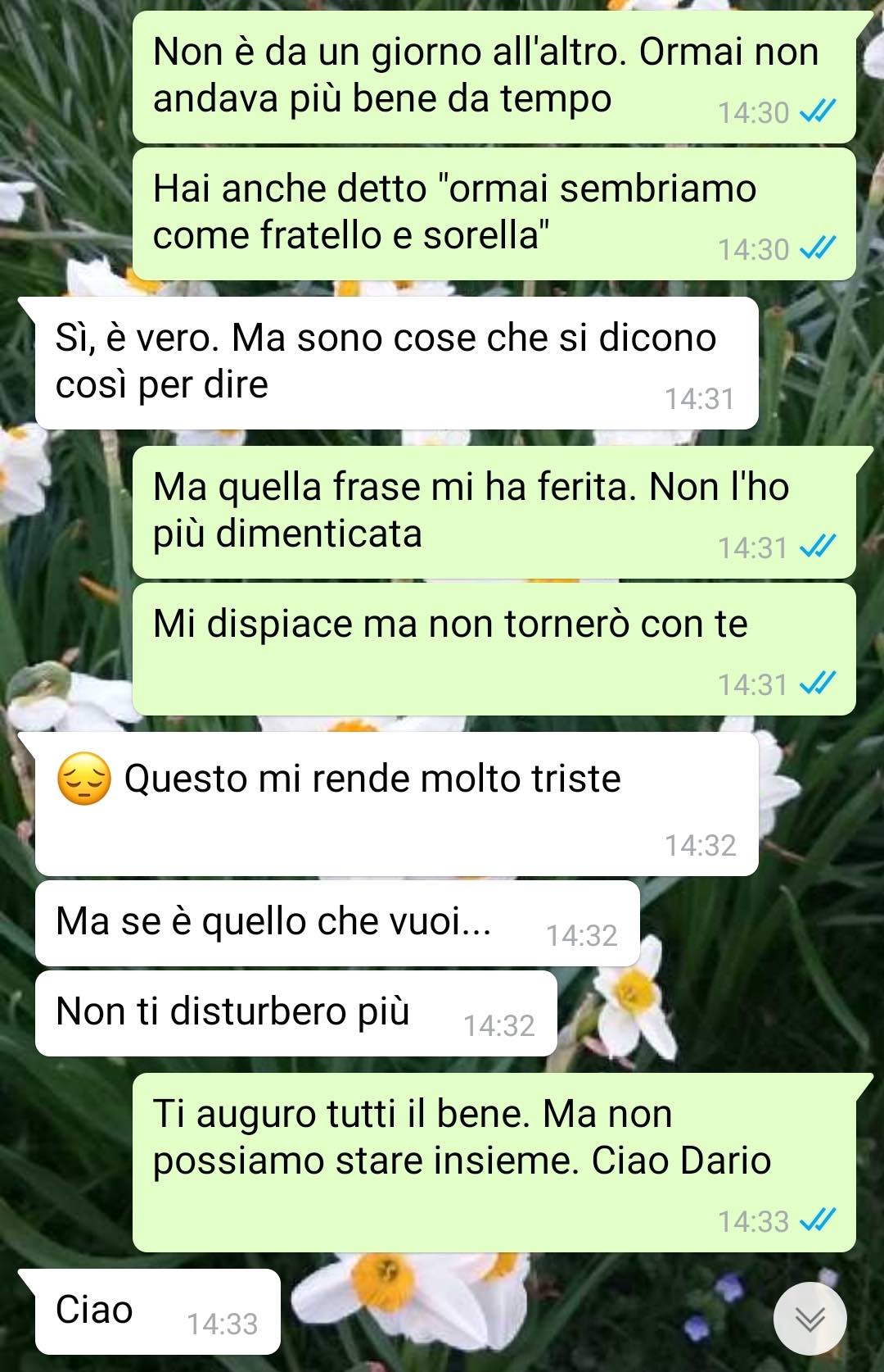 Quel falso del mio ex