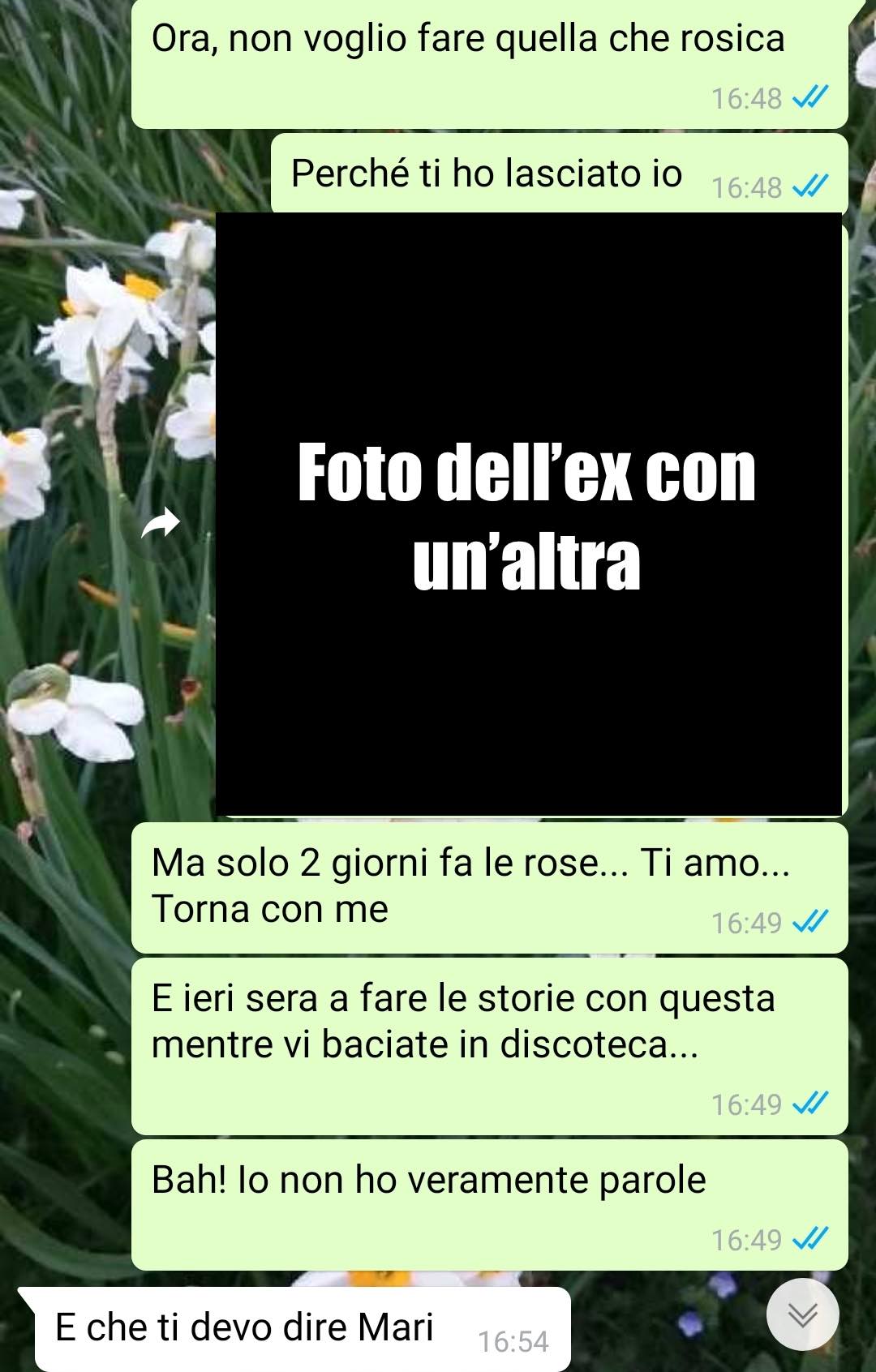 Quel falso del mio ex