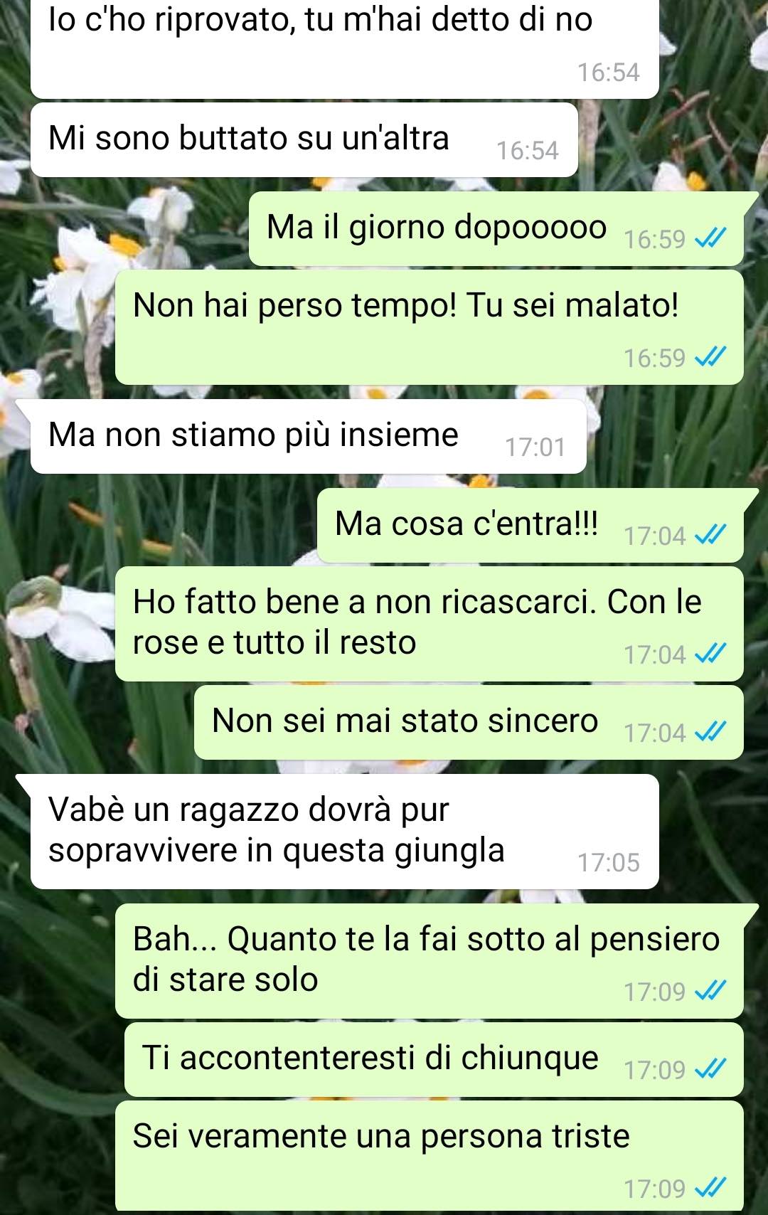 Quel falso del mio ex