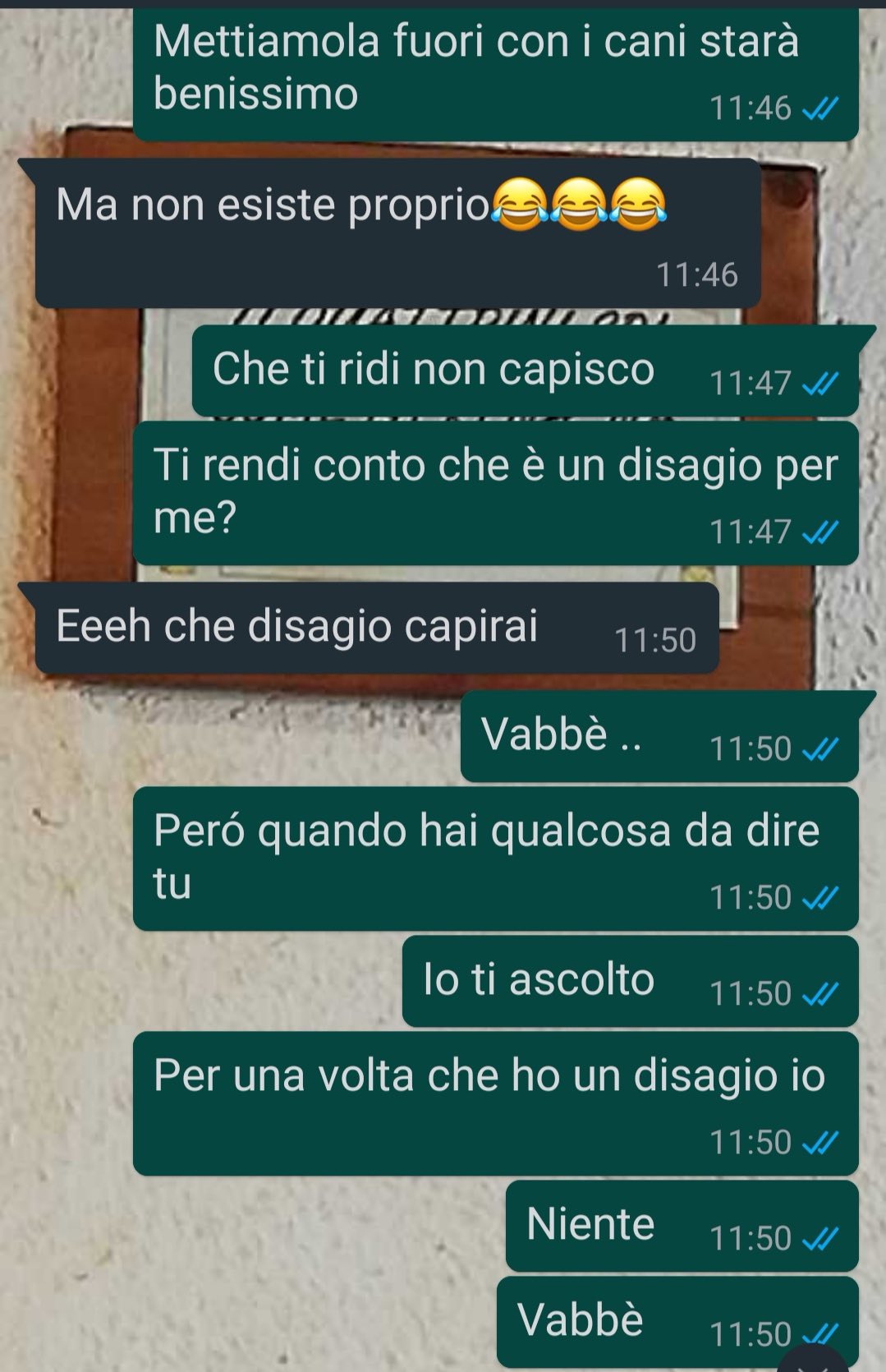 Una gatta speciale